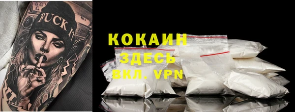 PSILOCYBIN Гусь-Хрустальный