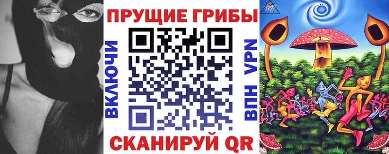 цены наркотик  KRAKEN как войти  Псилоцибиновые грибы Cubensis  Пестово 